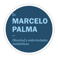 logo dr palma 250x250